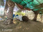 For sale two farms opposite each other in the area of Ghommed (Al Hayr) separated by a road only : Image 4
