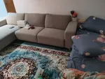 Shared girls’ accommodation for rent in an apartment in Sharjah : Image 1