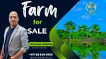 A farm in Al Khatim north of Dahan. Excellent location on Al Qar : Image 1