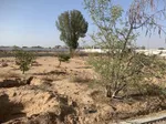 اراضي للبيع من المطور مباشرة في منطقة الحليو مع " تسهيلات في الدفع " : Image 6