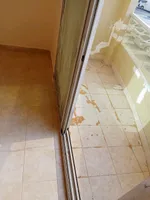 Apartments for annual rent : Image 3