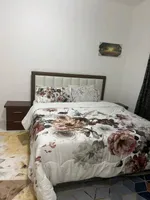 For monthly rent, one-bedroom apartment with a hall : Image 3