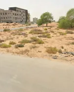 مزرعة للبيع بعجمان : Image 3