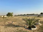 Plot for rent in Dubai Al Khawanj (Wadi Al Amradi) : Image 3