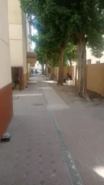 Labor accommodation for rent in Dubai Investment Park : Image 8