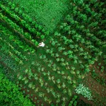 للتملك الحر فيلا تاون هاوس 4 غرف بمشروع حيان , 5% مقدم , 1% شهريا لمدة 90 شهر : Image 4