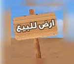 Take the opportunity and own a residential investment plot in a prime location in the Amra area : Image 1