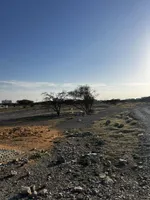 A plot of land for sale in Ras Al Khaimah, Seih Al Ghoub area, with a plot of 10000 feet : Image 1