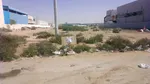 Residential commercial land for sale in Muwailih : Image 1