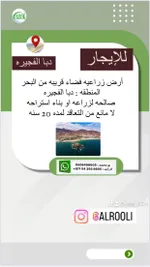 ارض زراعيه للايجار : Image 1