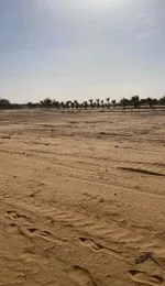 Freehold commercial land for sale in Al Shamkha Alreeman 1 building permit : Image 1