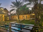 Farm for rent in Ajman 
An area of 160 thousand feet 
Suitable for all activities 
Places to hold events or weddings
Overnight rooms - tents ready 
Places for activities
Children's play area
Agriculture - natural environment - places to raise 
Animal : Image 8