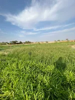 Agricultural land for sale in a very special location : Image 1