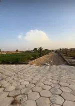 For sale a farm in the Emirate of Sharjah in Al Batayeh, Al Barir area : Image 5