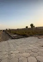 For sale a farm in the Emirate of Sharjah in Al Batayeh, Al Barir area : Image 6