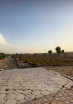 For sale a farm in the Emirate of Sharjah in Al Batayeh, Al Barir area : Image 3