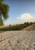 For sale a farm in the Emirate of Sharjah in Al Batayeh, Al Barir area : Image 4