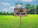Land for sale in First Safo : Image 2