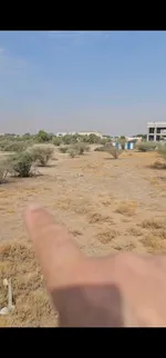 Residential commercial land for sale in Al Dhaid area in the Emirate of Sharjah, second row of the street : Image 1