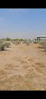 Residential commercial land for sale in Al Dhaid area in the Emirate of Sharjah, second row of the street : Image 3