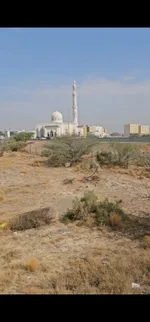 Residential commercial land for sale in Al Dhaid area in the Emirate of Sharjah, second row of the street : Image 4