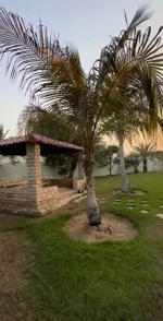 For sale a villa in Sharjah in the Qarayen area. The two-storey villa consists of 4 master bedrooms, a majlis, a kitchen and a maid's room : Image 4