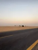 للبيع منطقة السحمة فرصة استثمارية مميزة جدا جدا للي حاب يستثمر فلوسه في أراضي سكنية مميزة في الشارقة سواءا للتطوير العقاري وبناء فلل وبيعها أو تأجيرها : Image 1