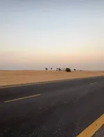 للبيع منطقة السحمة فرصة استثمارية مميزة جدا جدا للي حاب يستثمر فلوسه في أراضي سكنية مميزة في الشارقة سواءا للتطوير العقاري وبناء فلل وبيعها أو تأجيرها : Image 7