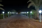 Luxury farm for daily rent - Al Helio, Ajman : Image 4