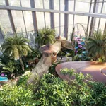 A view of Burj Khalifa flexible payment The tallest residential tower in the world : Image 2