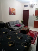 For monthly rent, fully furnished studio in Orient Towers : Image 8