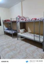 شقه شيرنج للايجار الشهري : Image 1