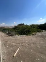 Residential land for sale in Al Seeh - Ras Al Khaimah | Great location near Ras Al Khaimah Sports Club : Image 5