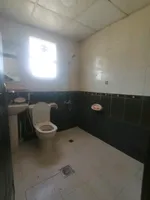 استوديو مساحة كبيرة مطبخ منفصل : Image 5