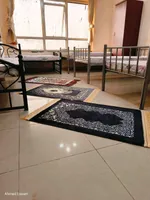 متاح شقة شيرنج شباب عرب 
بنهدة الشارقة مقابل صحاري قريب من باصات دبي  كل غرفة يوجد بها ثلاجة ومنشر 
للتواصل واتس 0505892435

يوجد غرفة سداسية كاملة سعر السرير 550 
يوجد غرفة ماستر رباعية سعر السرير 650 
يوجد غرفة ماستر رباعية سعر السرير 650 : Image 1