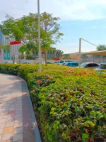 Ajman Family AIDEN Premium VIP : Image 4