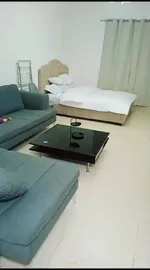 استوديو مفروش للإيجار الشهري في أبراج الياسمين - عجمان : Image 1