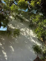 House for sale in Al-Qadisiyah area : Image 7