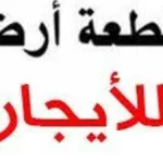 للإيجار أرض مسورة في الشارقة تقع في منطقة الصناعية السادسة موقع مميز شارع قار شارع أمامي وشارع خلفي فيها كهرباء ماء وغاز ودفاع مدني : Image 1
