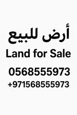 To sell two adjacent plots of land in Al Mowaihat 2 in Ajman : Image 1