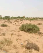 No fees for quick sale of commercial residential land g+4, Al Aliya Global Ajman : Image 2