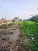 مزرعة فاخرة للبيع : Image 1