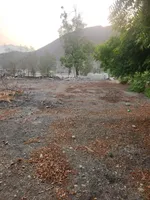 مزرعة فاخرة للبيع : Image 2