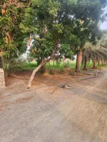 مزرعة فاخرة للبيع : Image 5