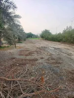 مزرعة فاخرة للبيع : Image 7