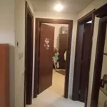 Two rooms and a hall for sale in City Tour Ajman : Image 2