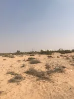 🌟 فرصة استثمارية ذهبية – قطعة أرض بنظام أقساط في القاسمية – المرحلة الرابعة 🌟 : Image 1