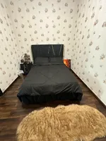 الإمارات : Image 6