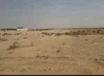 للبيع ارض تجارية في عذيب الشارقة : Image 2