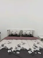For Rent Apartment in Al Dhahir, Al Ain : Image 2
